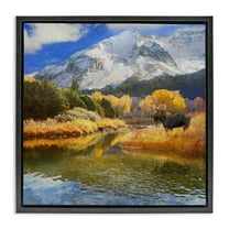 Stupell Industries Moose on Dolores River Landscape & Nature Photography Black Floater Framed Canvas Art Print Wall Art, 18 x 18