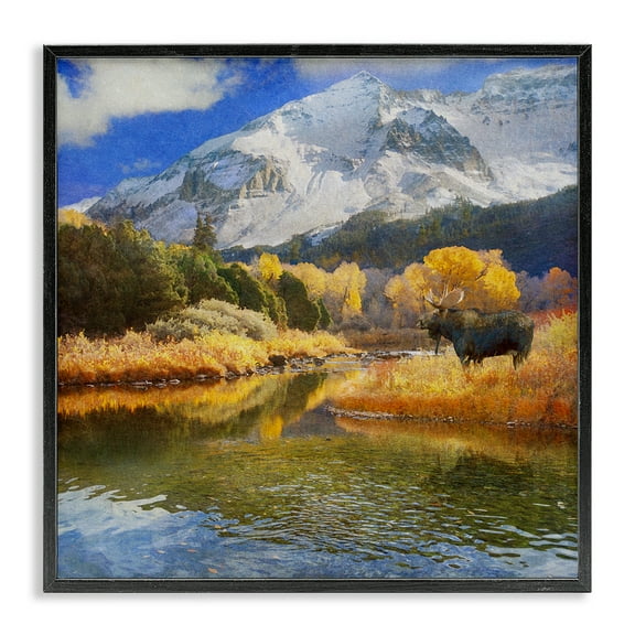 Stupell Industries Moose on Dolores River Landscape & Nature Photography Black Framed Art Print Wall Art, 12 x 12