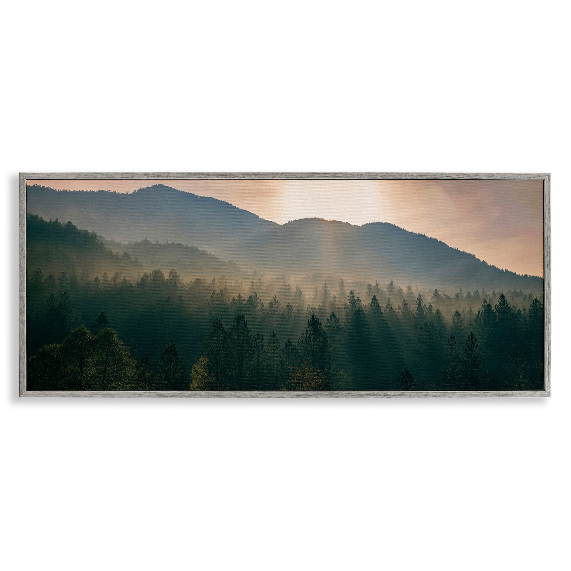 Stupell Industries Morning Sun over Misty Trees Landscape Photography Gray Framed Art Print Wall Art, 24 x 10