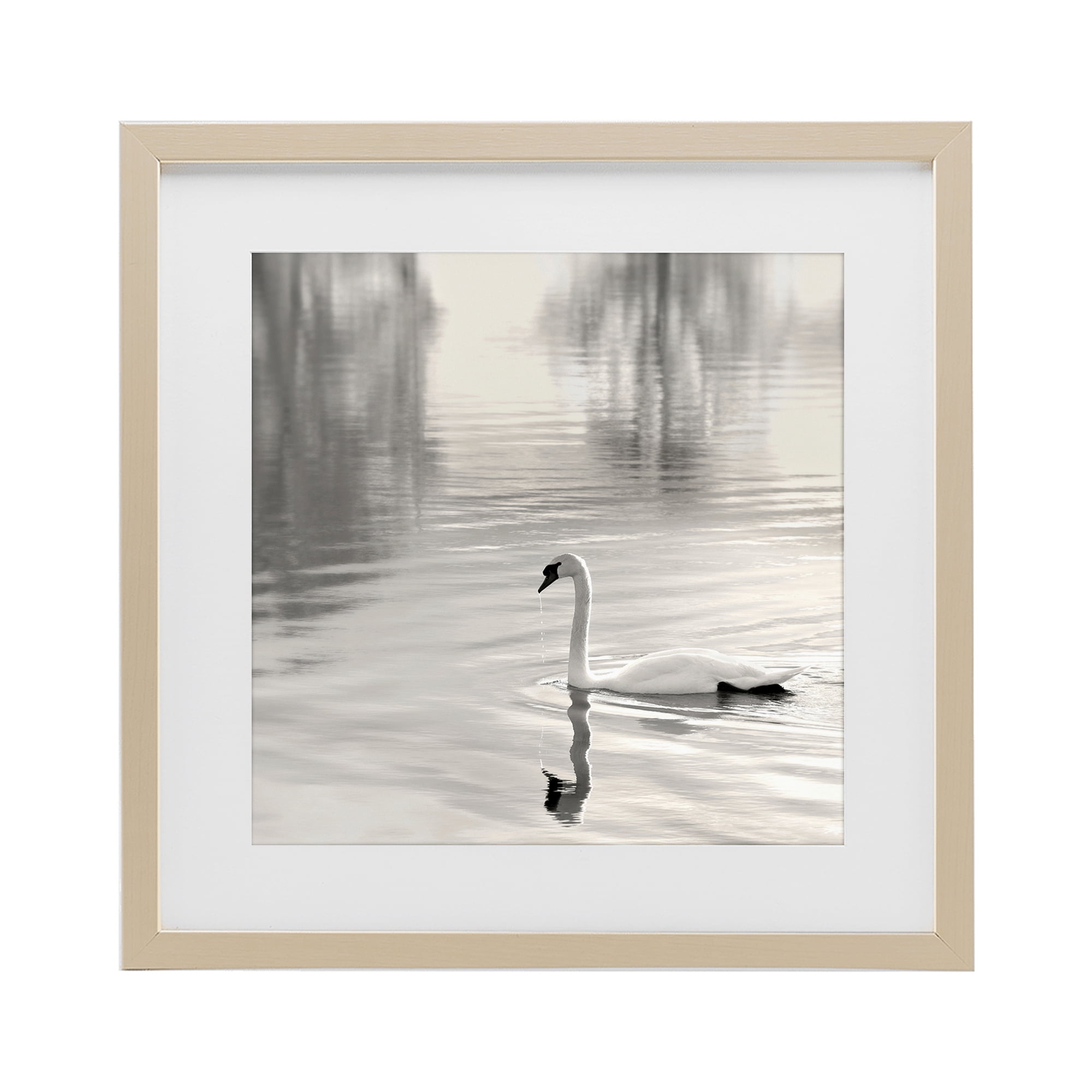Stupell Industries Morning Sunlit Swan Birch Framed Print Under Glass, design by Nicholas Bell