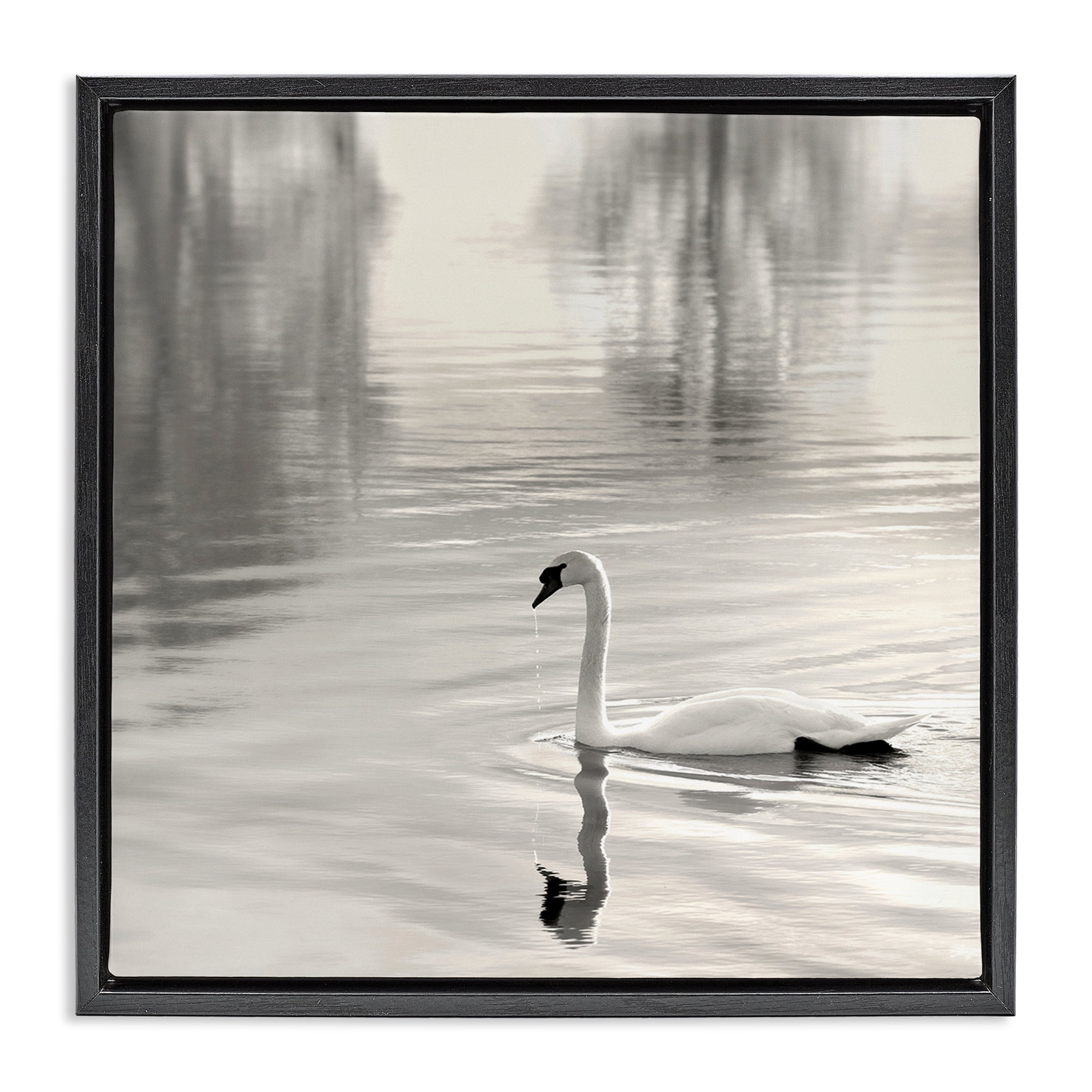 Stupell Industries Morning Sunlit Swan Black Framed Floater Canvas Wall Art, design by Nicholas Bell