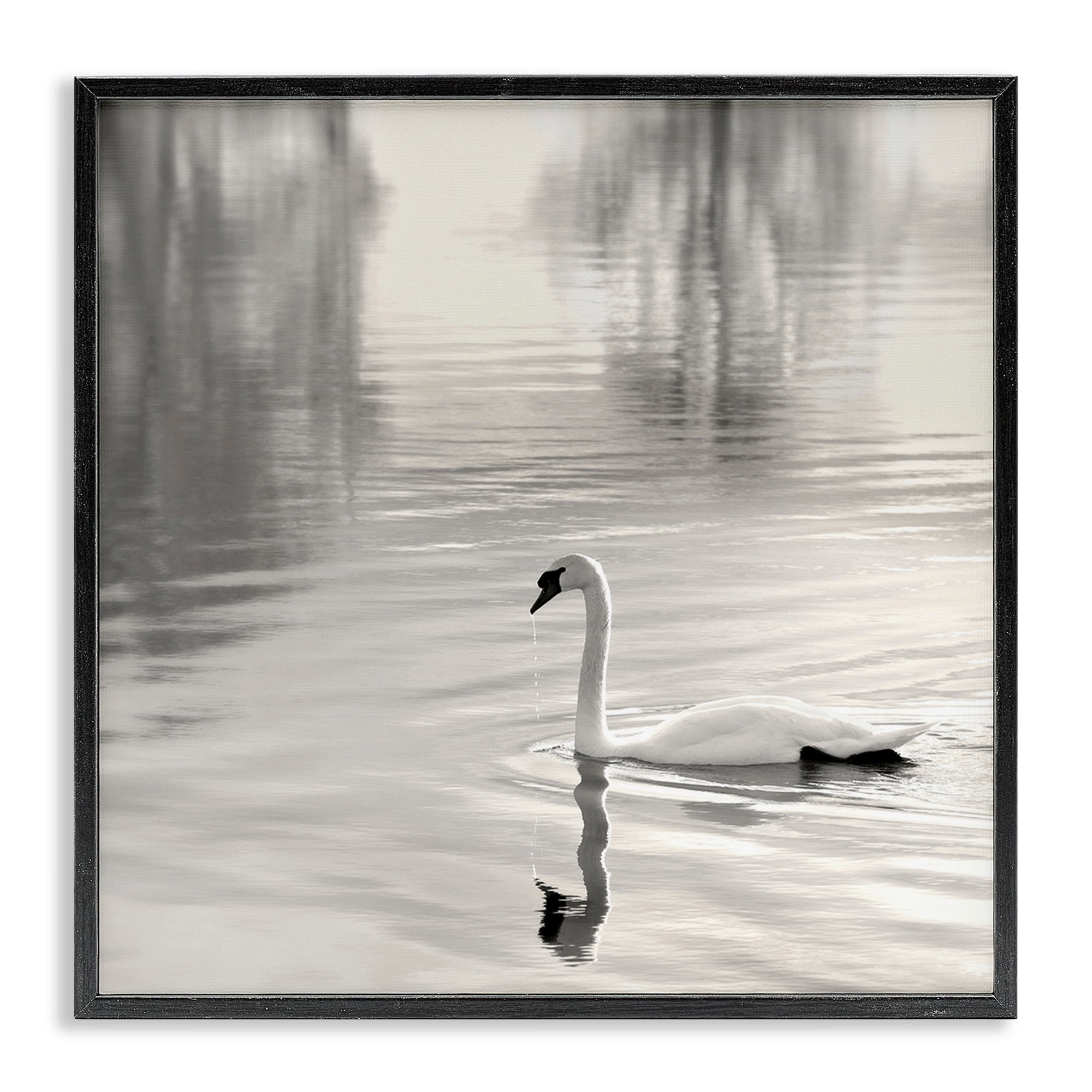 Stupell Industries Morning Sunlit Swan Black Framed Giclee Art, design by Nicholas Bell