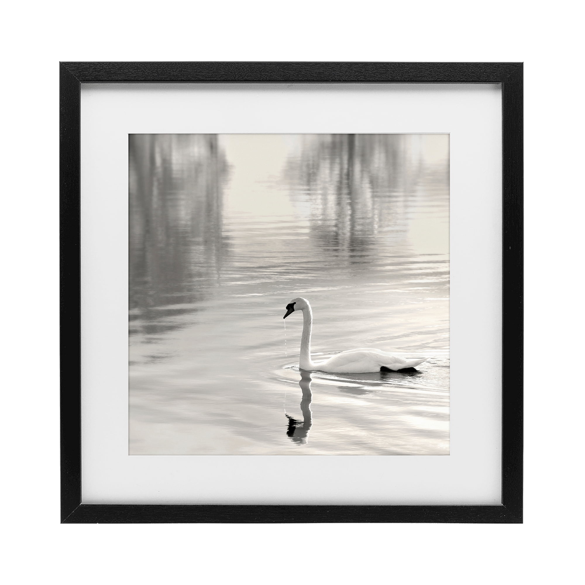 Stupell Industries Morning Sunlit Swan Black Framed Print Under Glass, design by Nicholas Bell