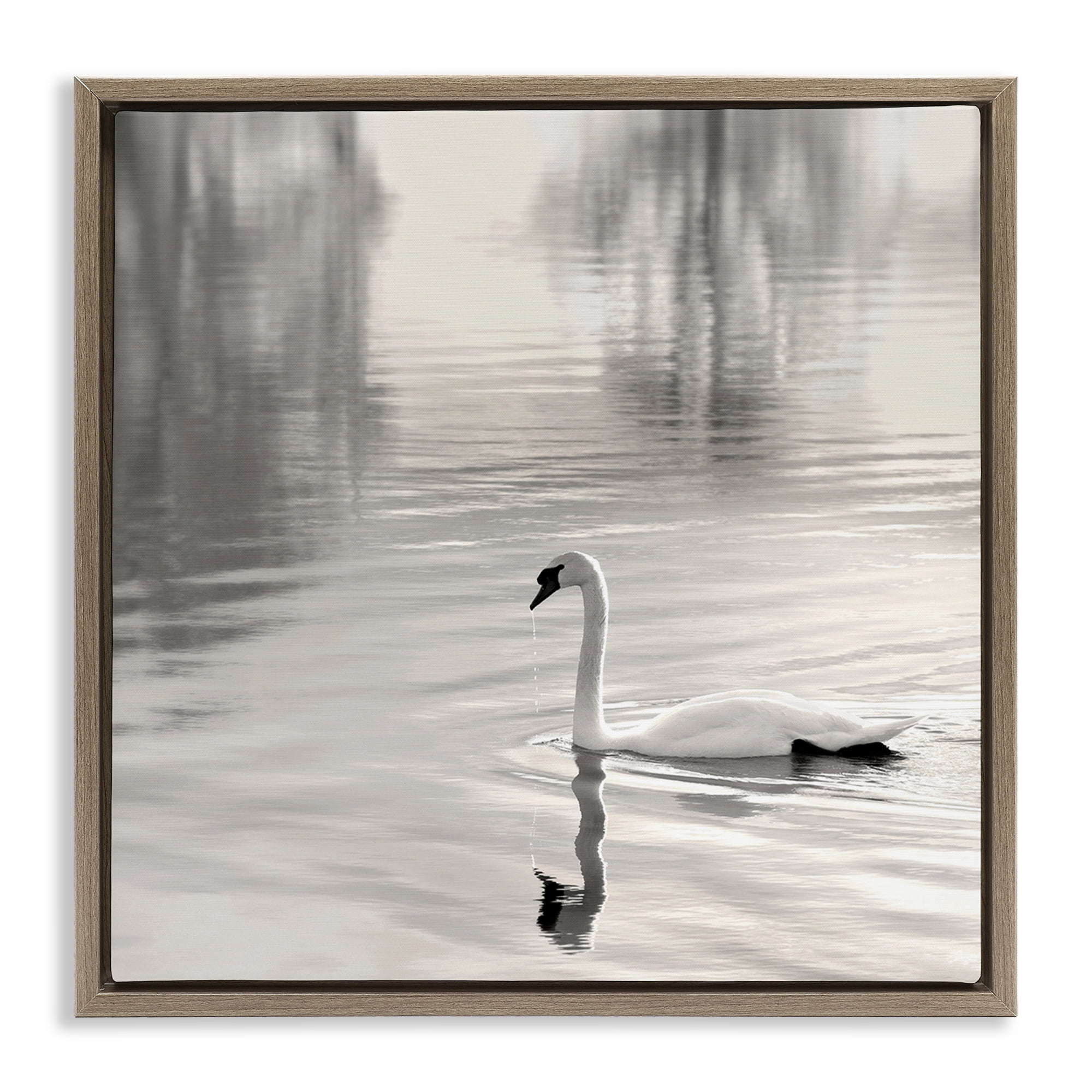 Stupell Industries Morning Sunlit Swan Brown Framed Floater Canvas Wall Art, design by Nicholas Bell