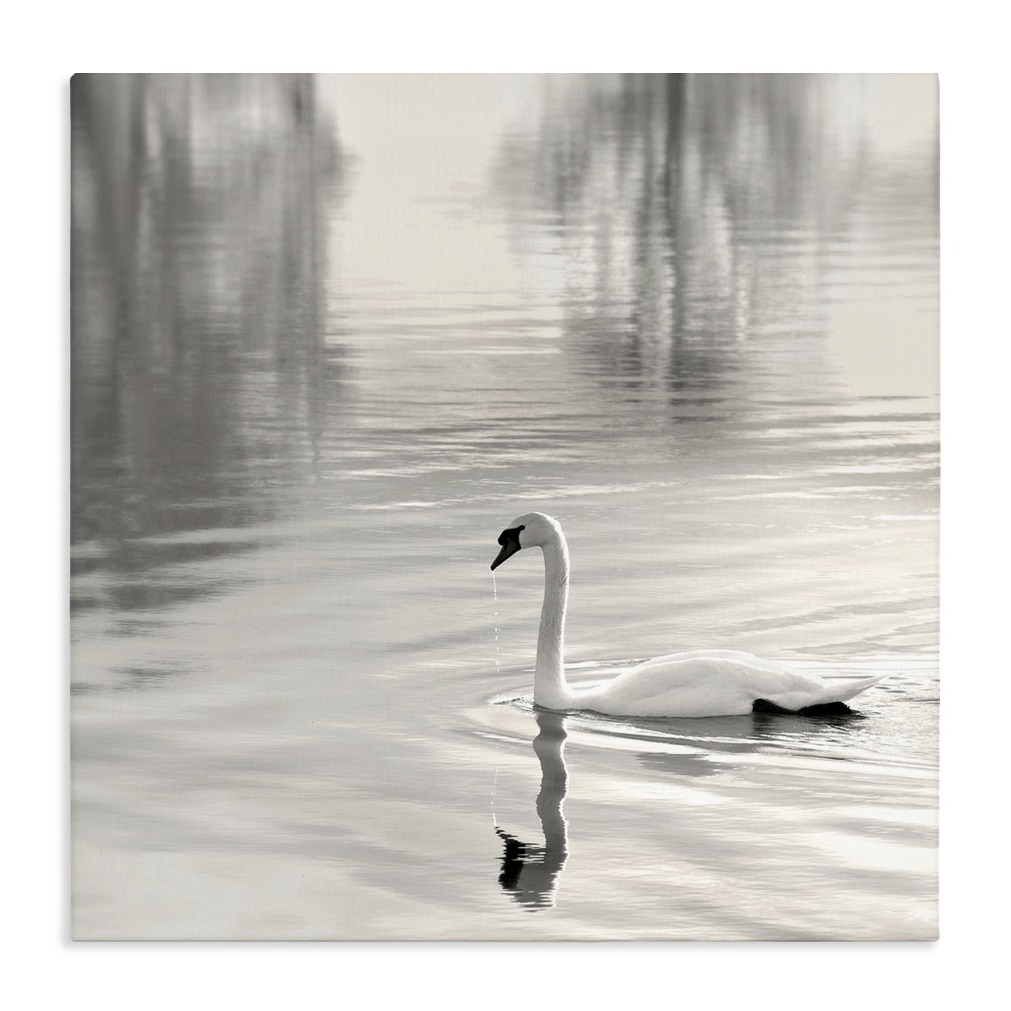 Stupell Industries Morning Sunlit Swan Canvas Wall Art, design by Nicholas Bell