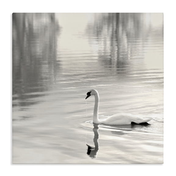 Stupell Industries Morning Sunlit Swan Canvas Wall Art, design by Nicholas Bell
