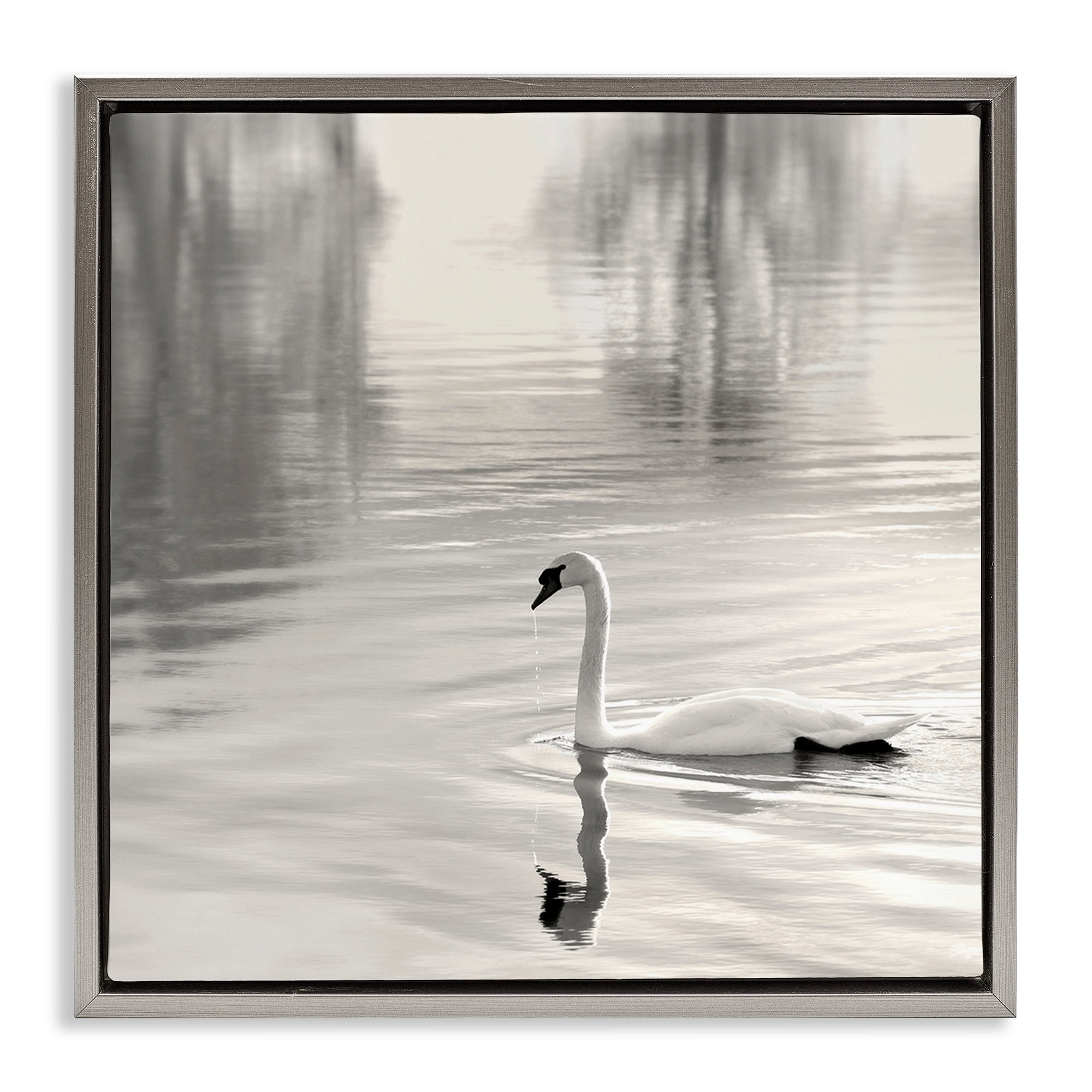 Stupell Industries Morning Sunlit Swan Gray Framed Floater Canvas Wall Art, design by Nicholas Bell