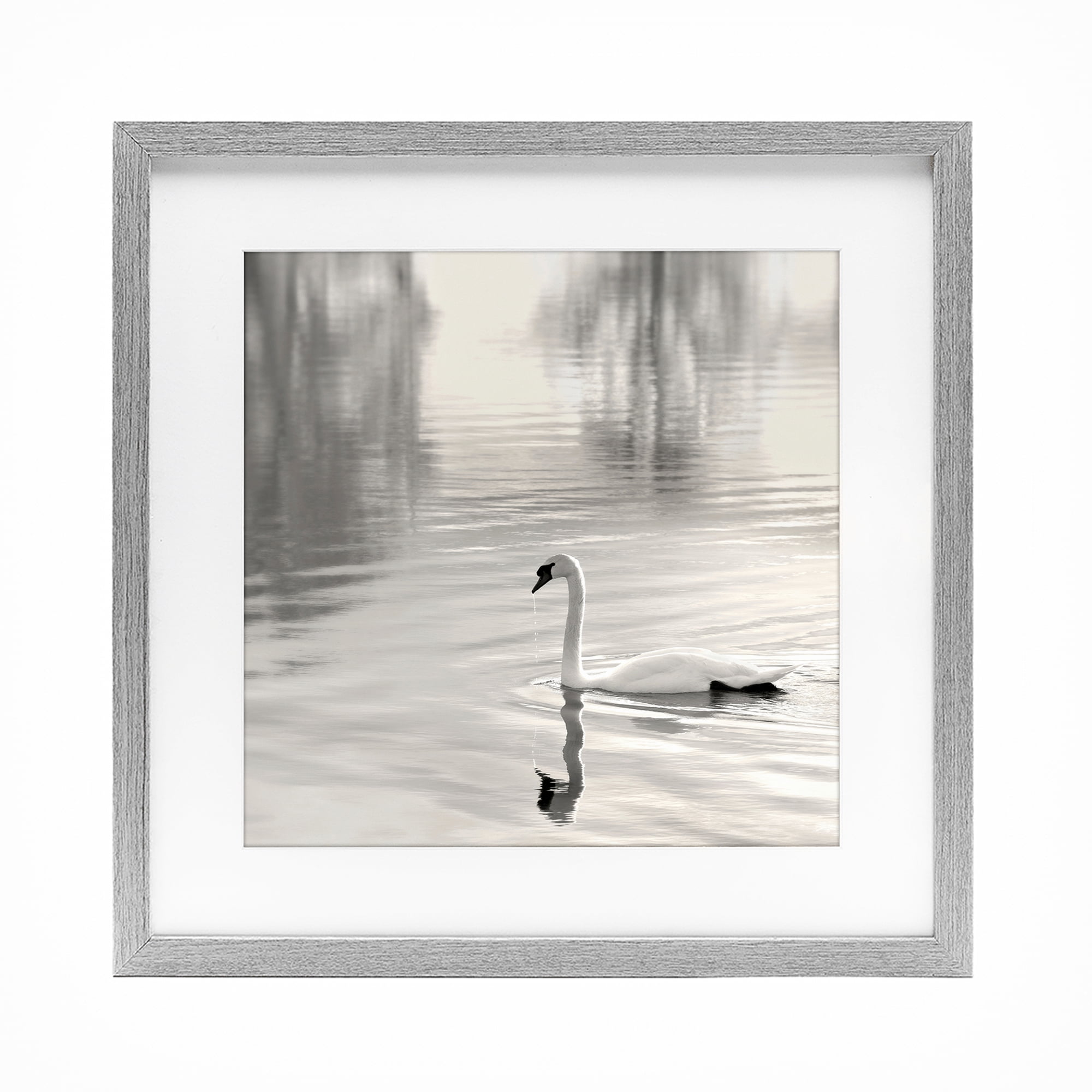 Stupell Industries Morning Sunlit Swan Gray Framed Print Under Glass, design by Nicholas Bell