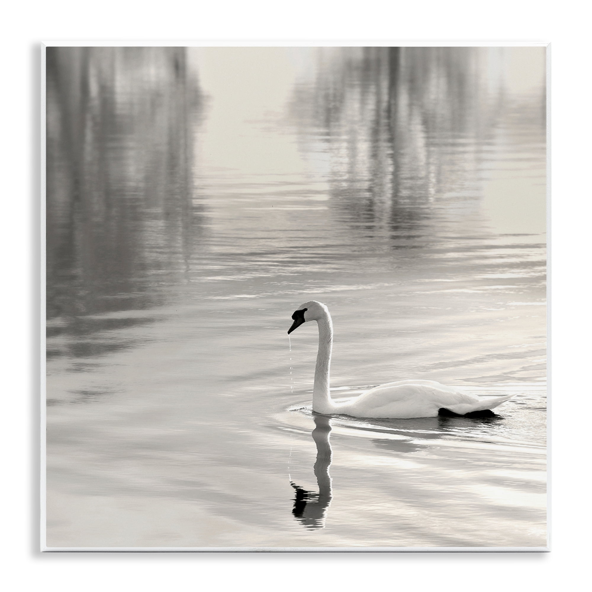 Stupell Industries Morning Sunlit Swan Wall Plaque Art, design by Nicholas Bell