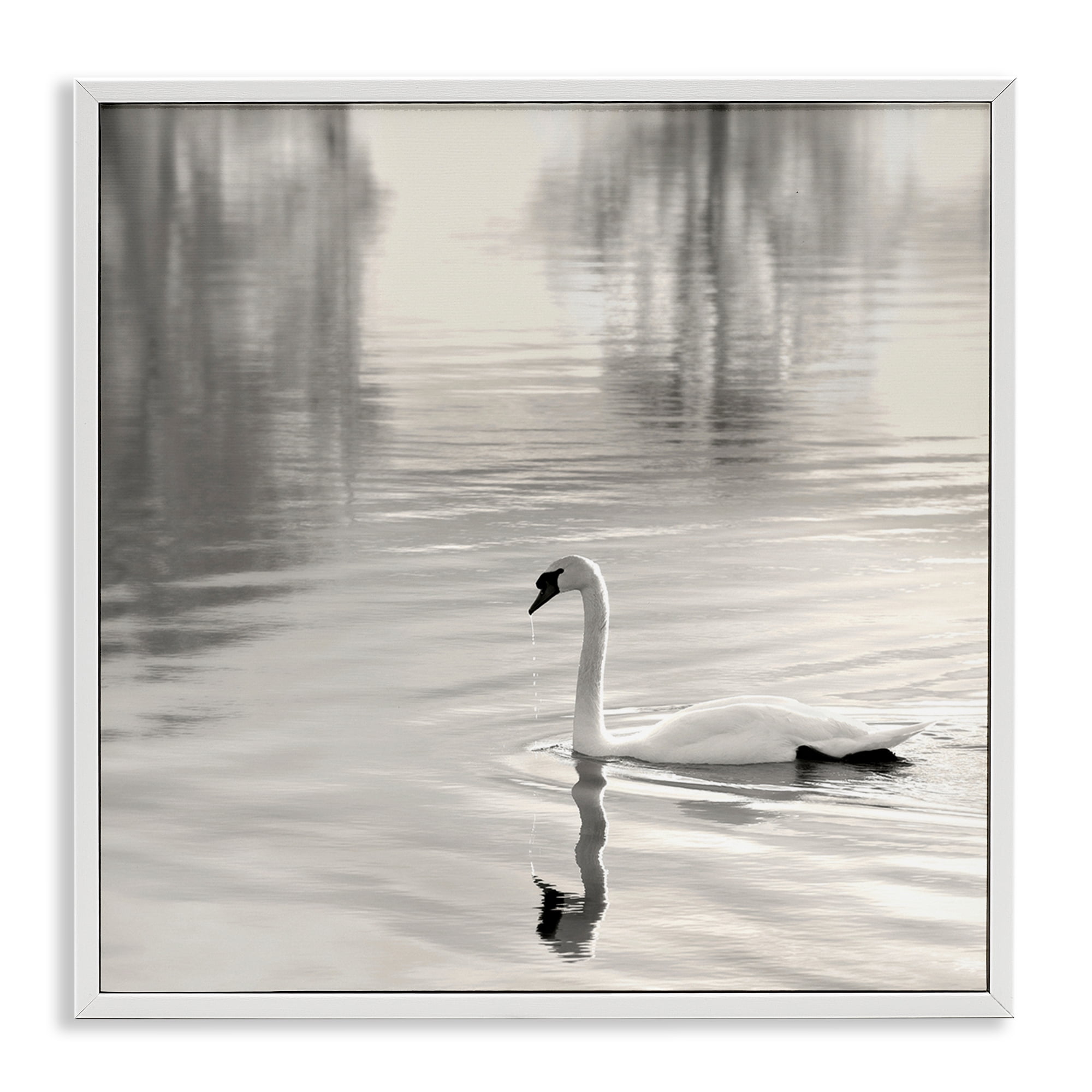 Stupell Industries Morning Sunlit Swan White Framed Giclee Art, design by Nicholas Bell