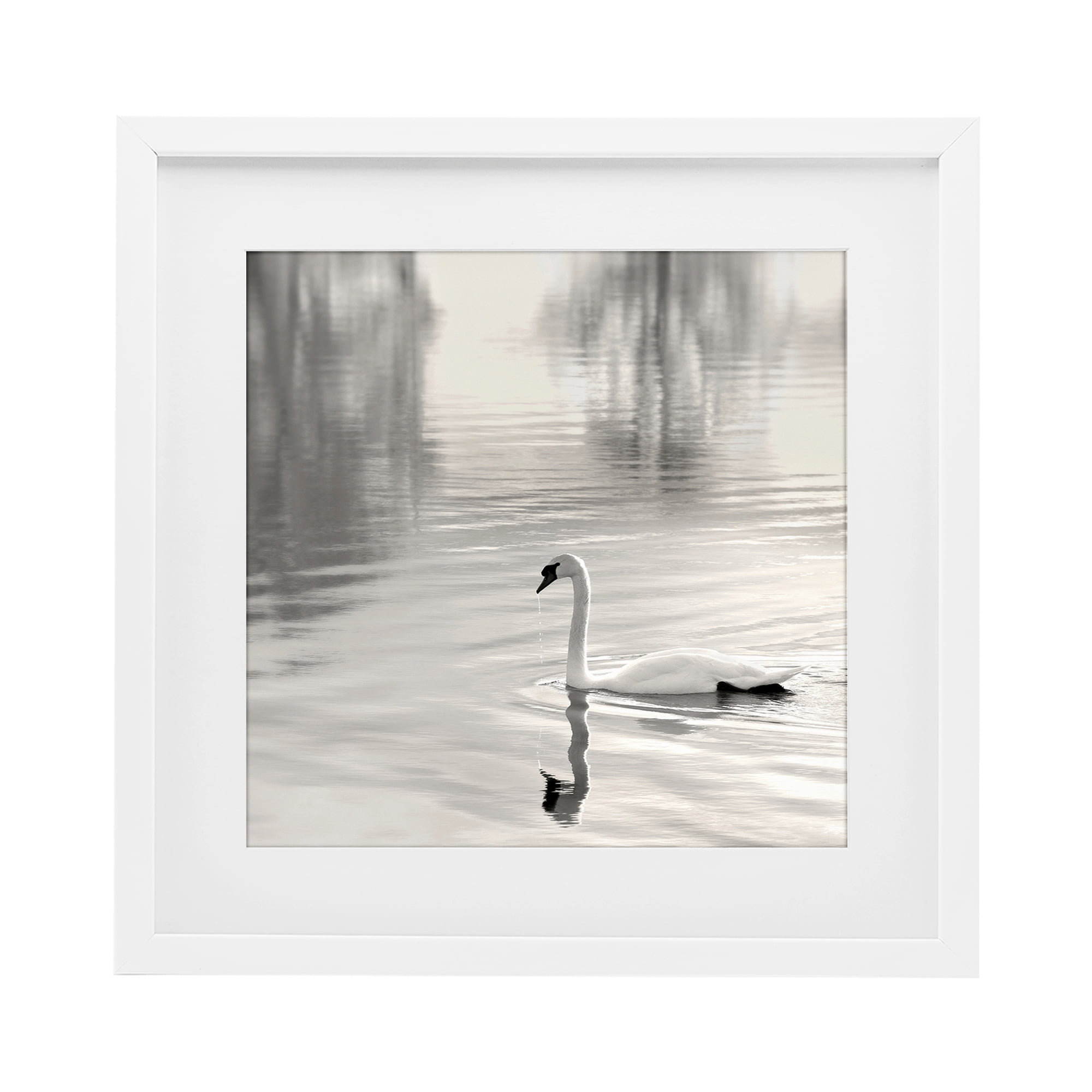 Stupell Industries Morning Sunlit Swan White Framed Print Under Glass, design by Nicholas Bell