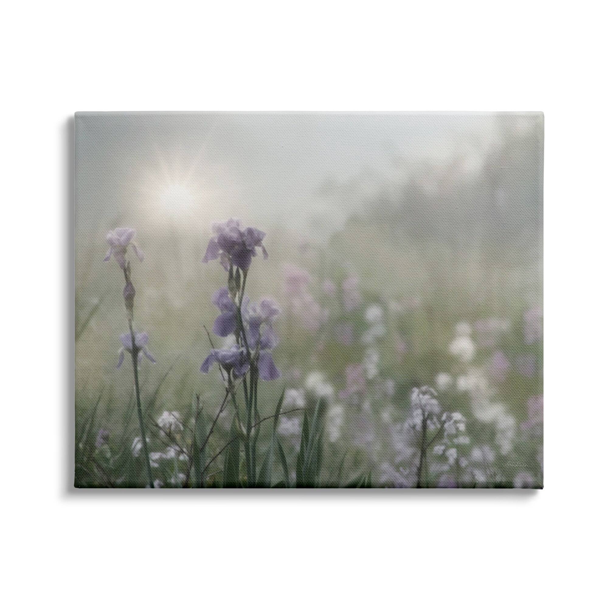 Stupell Industries Morning Violet Field Blooming Sung Glare Photography, 48 x 36,Design by Lori Deiter