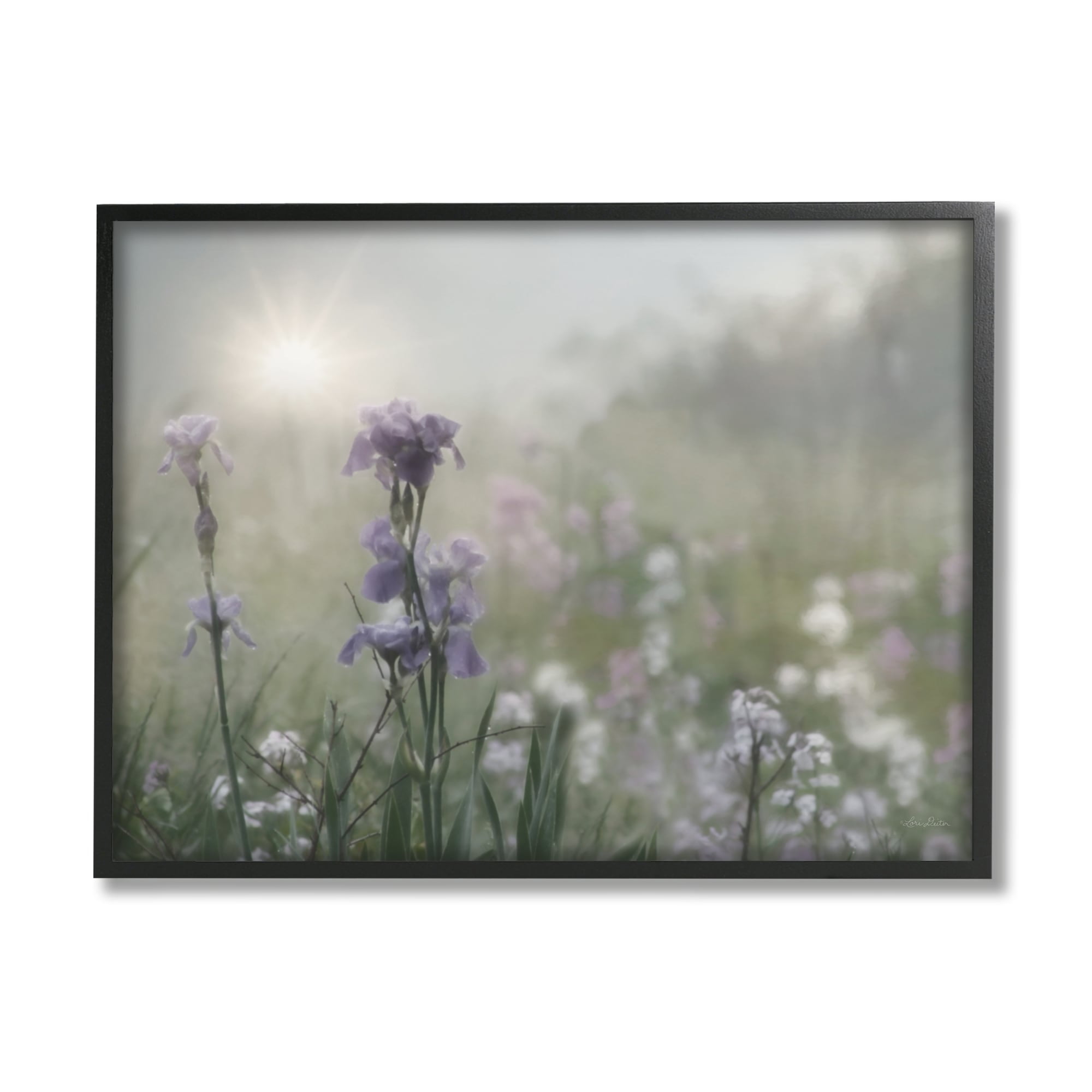 Stupell Industries Morning Violet Field Blooming Sung Glare Photography Black Framed Art Print Wall Art, 20x16, by Lori Deiter