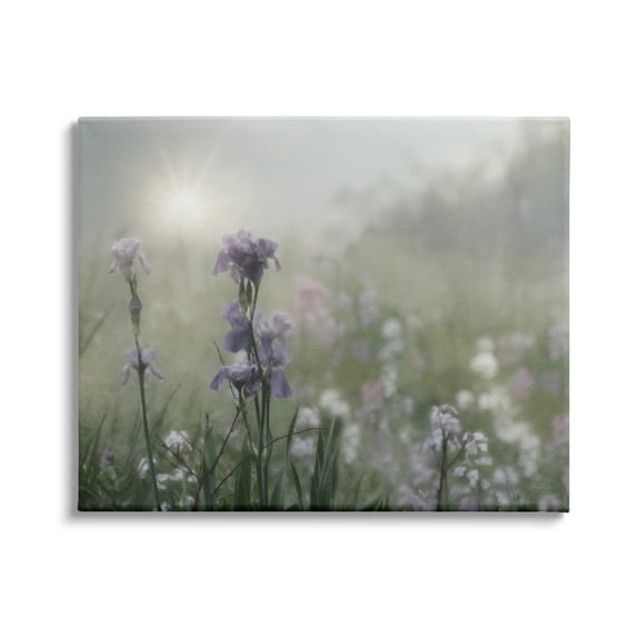 Stupell Industries Morning Violet Field Blooming Sung Glare Photography Gallery-Wrapped Canvas Print Wall Art, 40x30, by Lori Deiter