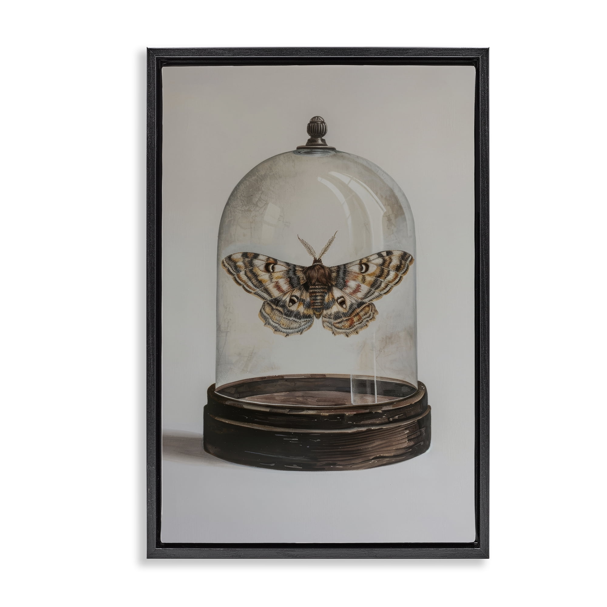 Stupell Industries Moth in Glass Cloche Animals Painting Black Floater Framed Canvas Art Print Wall Art, 17 x 25