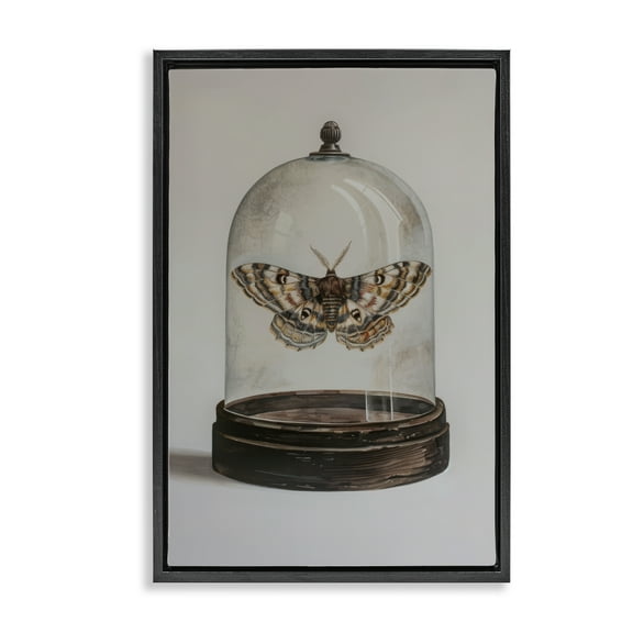 Stupell Industries Moth in Glass Cloche Animals Painting Black Floater Framed Canvas Art Print Wall Art, 17 x 25