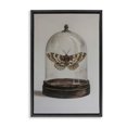 thumbnail image 1 of Stupell Industries Eclectic Black Floating Frame Canvas Art, 21 x 31, by Petals Prints Design, 1 of 8