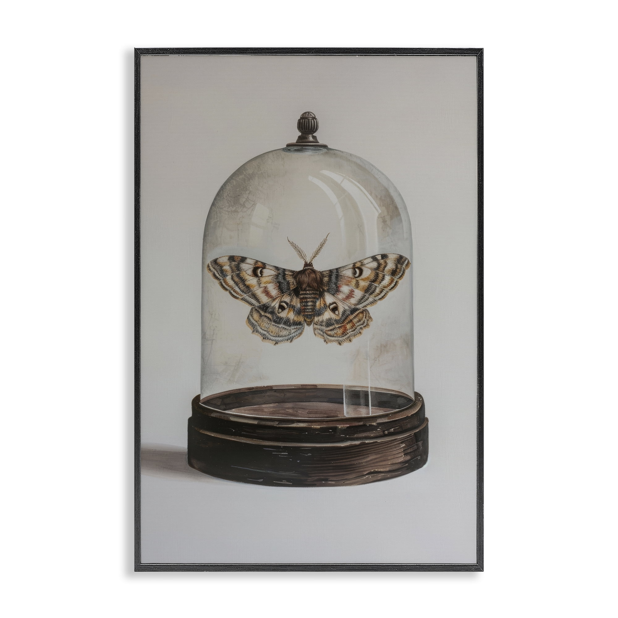 Stupell Industries Moth in Glass Cloche Animals Painting Black Framed Art Print Wall Art, 20 x 30