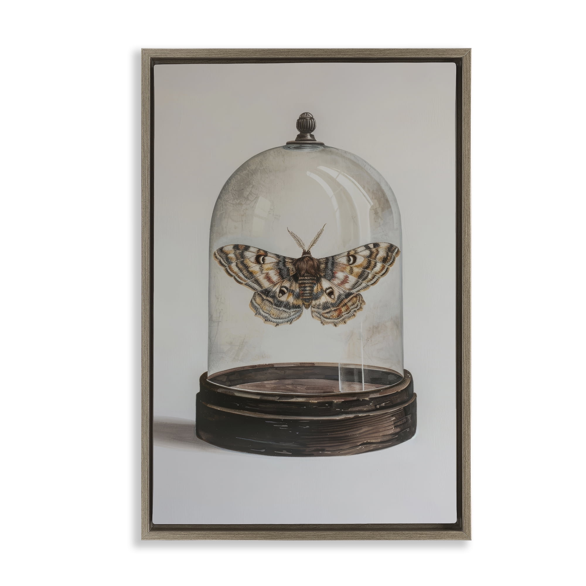Stupell Industries Moth in Glass Cloche Animals Painting Brown Floater Framed Canvas Art Print Wall Art, 17 x 25