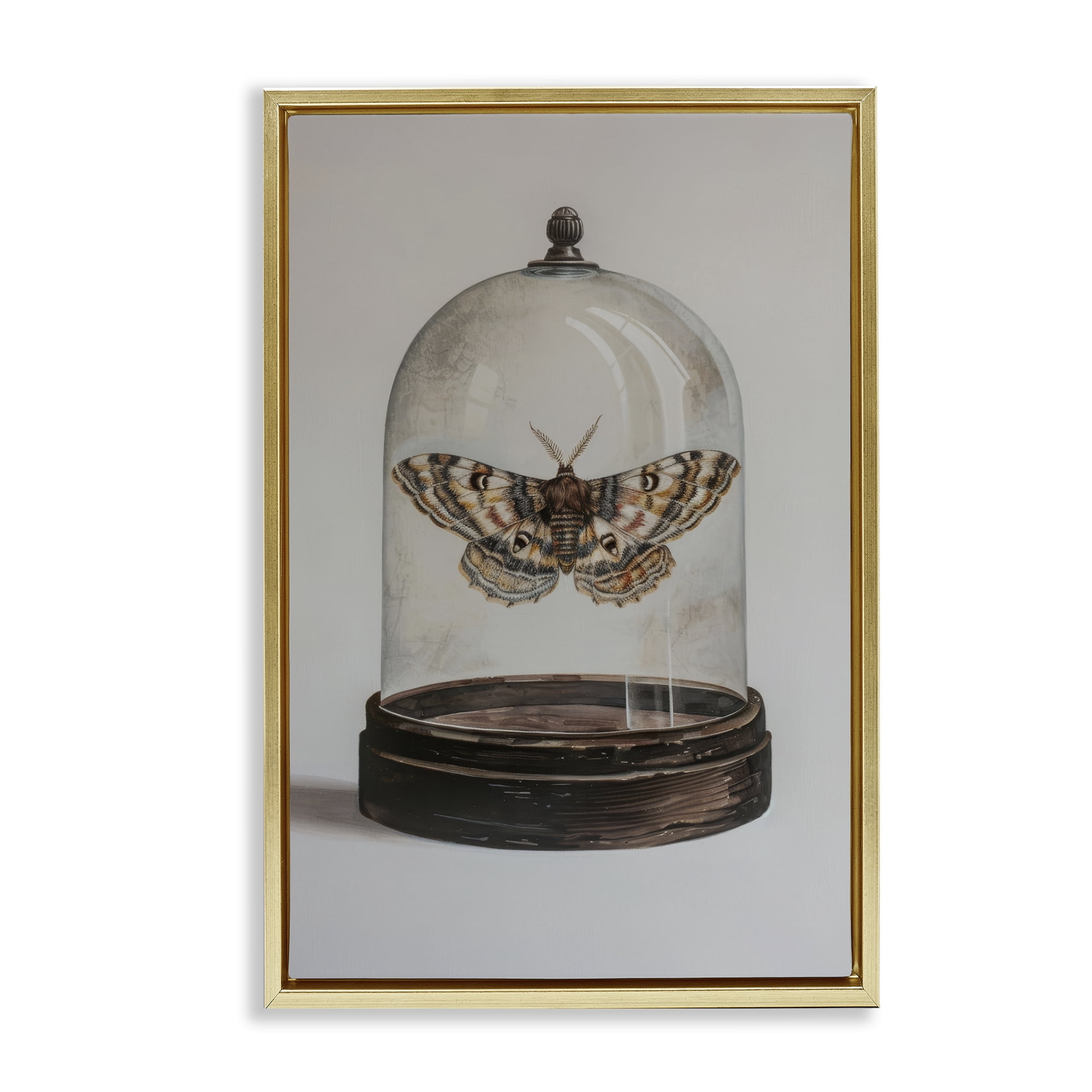 Stupell Industries Moth in Glass Cloche Animals Painting Gold Floater Framed Canvas Art Print Wall Art, 21 x 31
