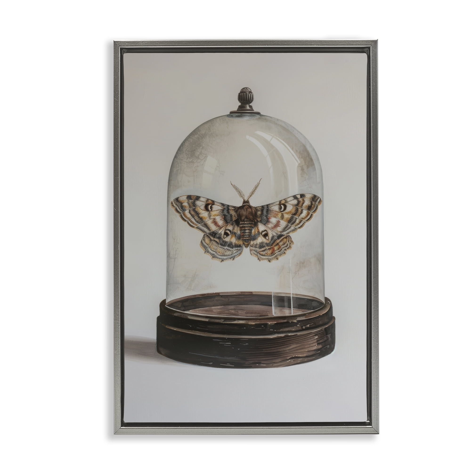 Stupell Industries Moth in Glass Cloche Animals Painting Gray Floater Framed Canvas Art Print Wall Art, 21 x 31