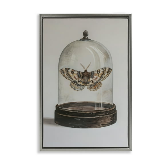 Stupell Industries Moth in Glass Cloche Animals Painting Gray Floater Framed Canvas Art Print Wall Art, 21 x 31