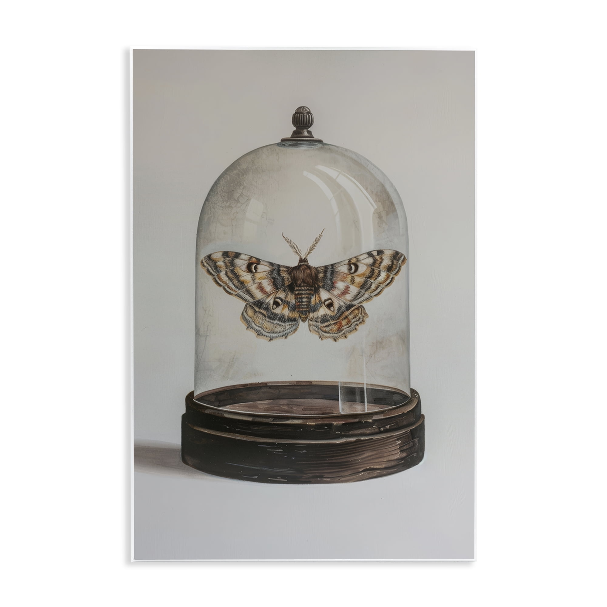 Stupell Industries Moth in Glass Cloche Animals Painting Unframed Art Print Wall Art, 10 x 15
