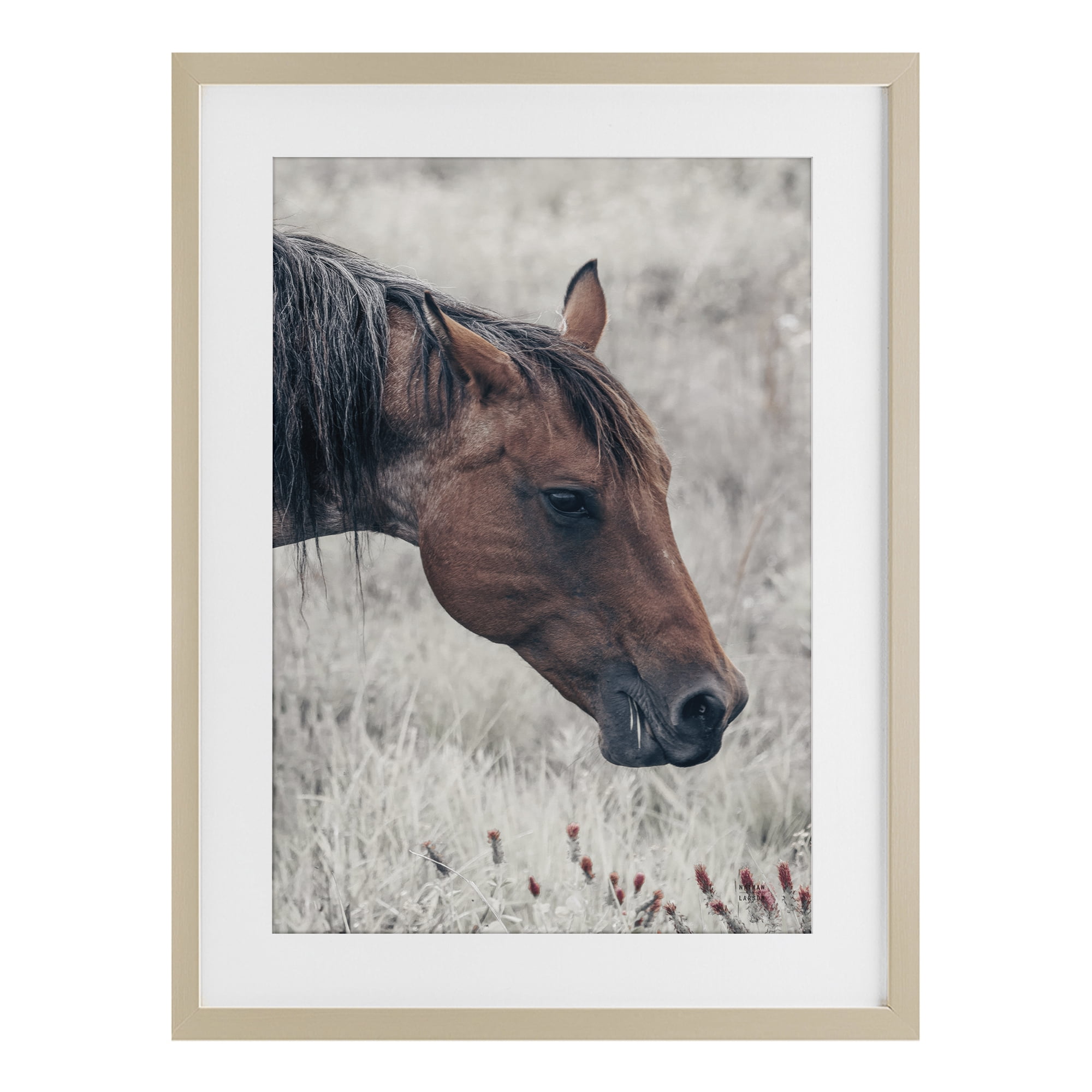 Stupell Industries Mother Horse Grazing in Meadow Birch Framed Print Under Glass, design by Nathan Larson