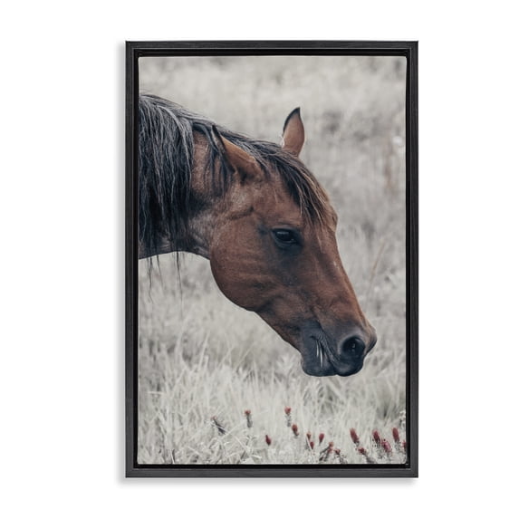 Stupell Industries Rustic Lodge Mother Horse Grazing in Meadow Black Floating Frame Canvas Art, 17 x 25, by Nathan Larson