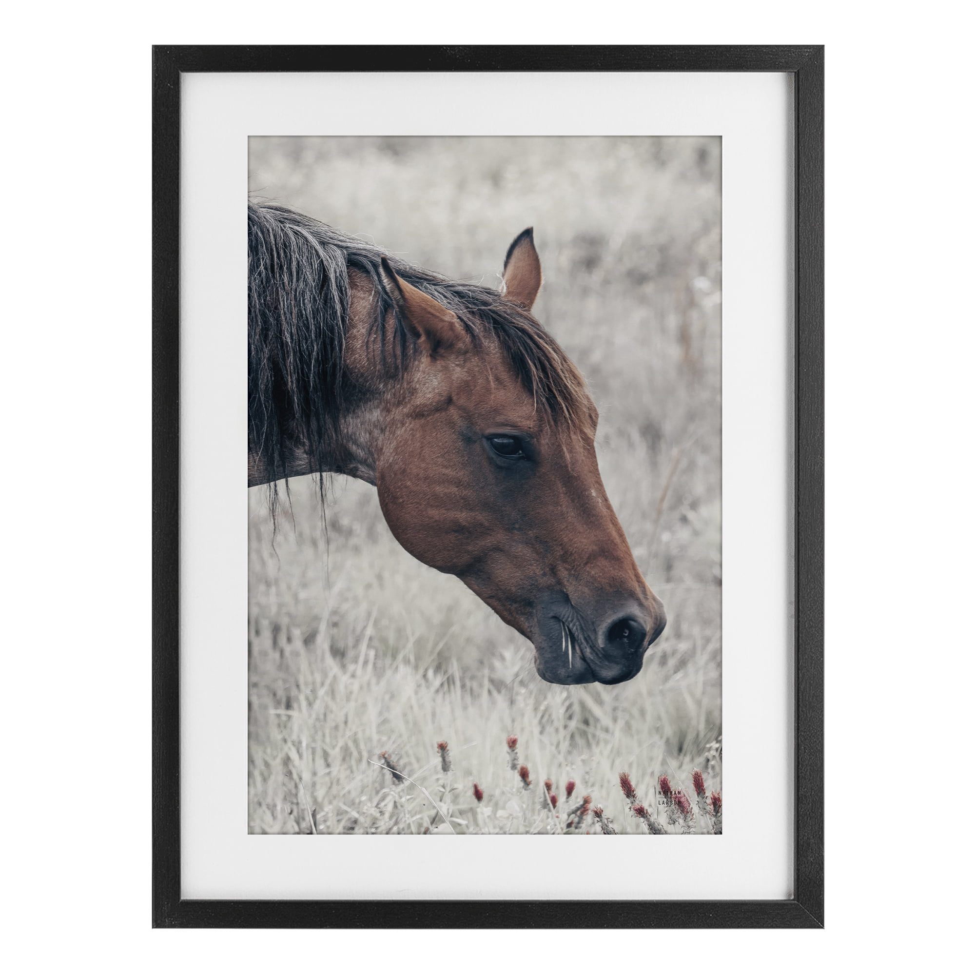 Stupell Industries Mother Horse Grazing in Meadow Black Framed Print Under Glass, design by Nathan Larson