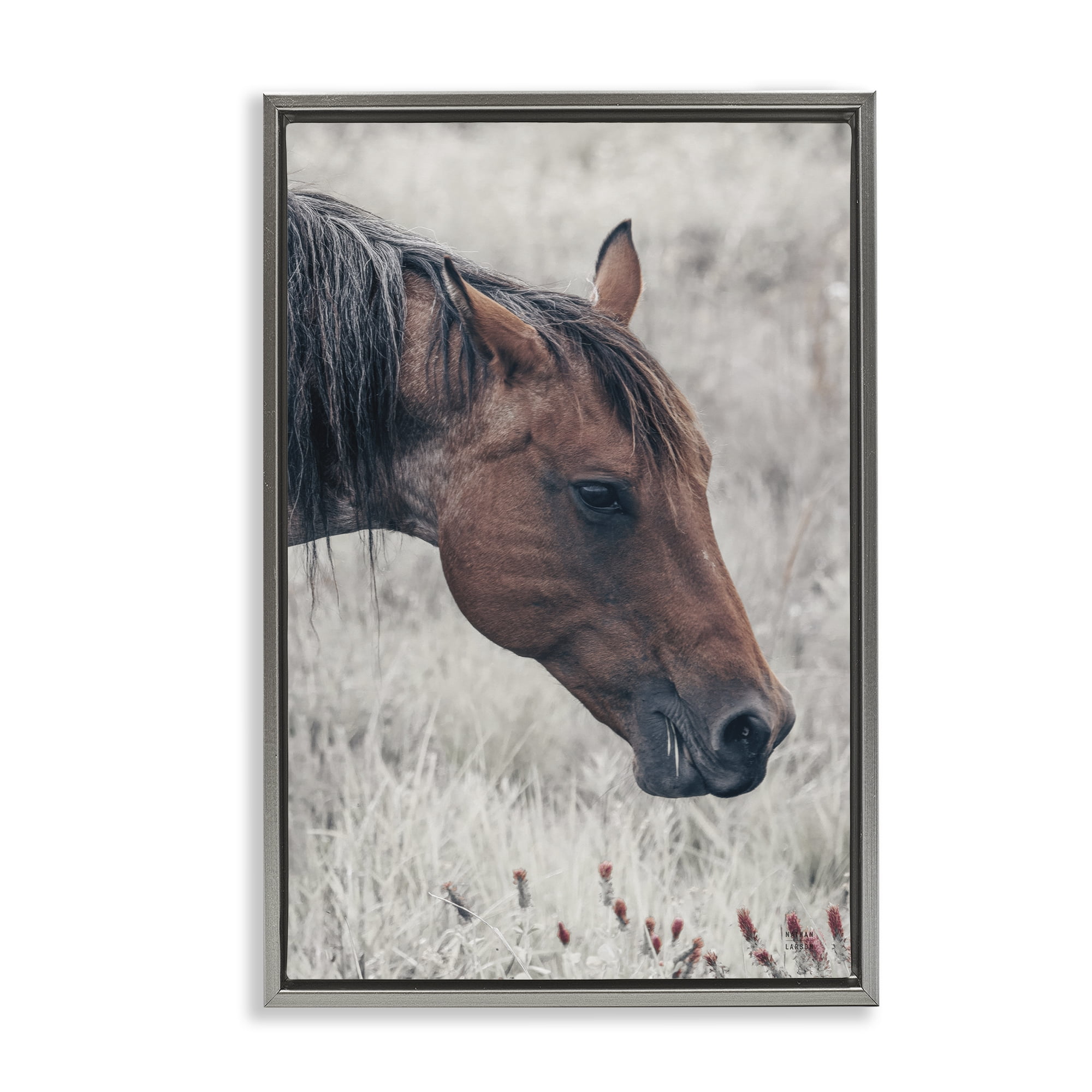 Stupell Industries Mother Horse Grazing in Meadow Gray Framed Floater Canvas Wall Art, design by Nathan Larson