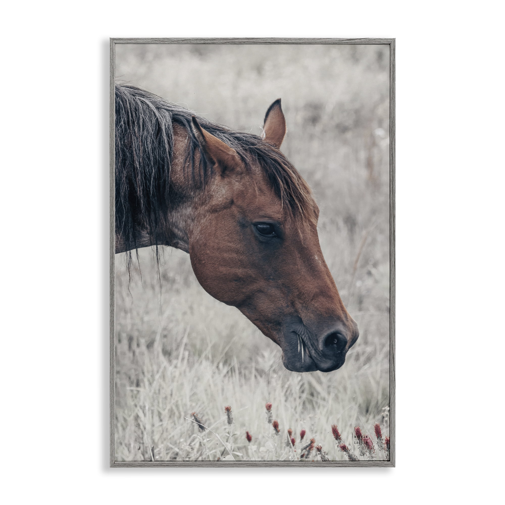 Stupell Industries Mother Horse Grazing in Meadow Gray Framed Giclee Art, design by Nathan Larson