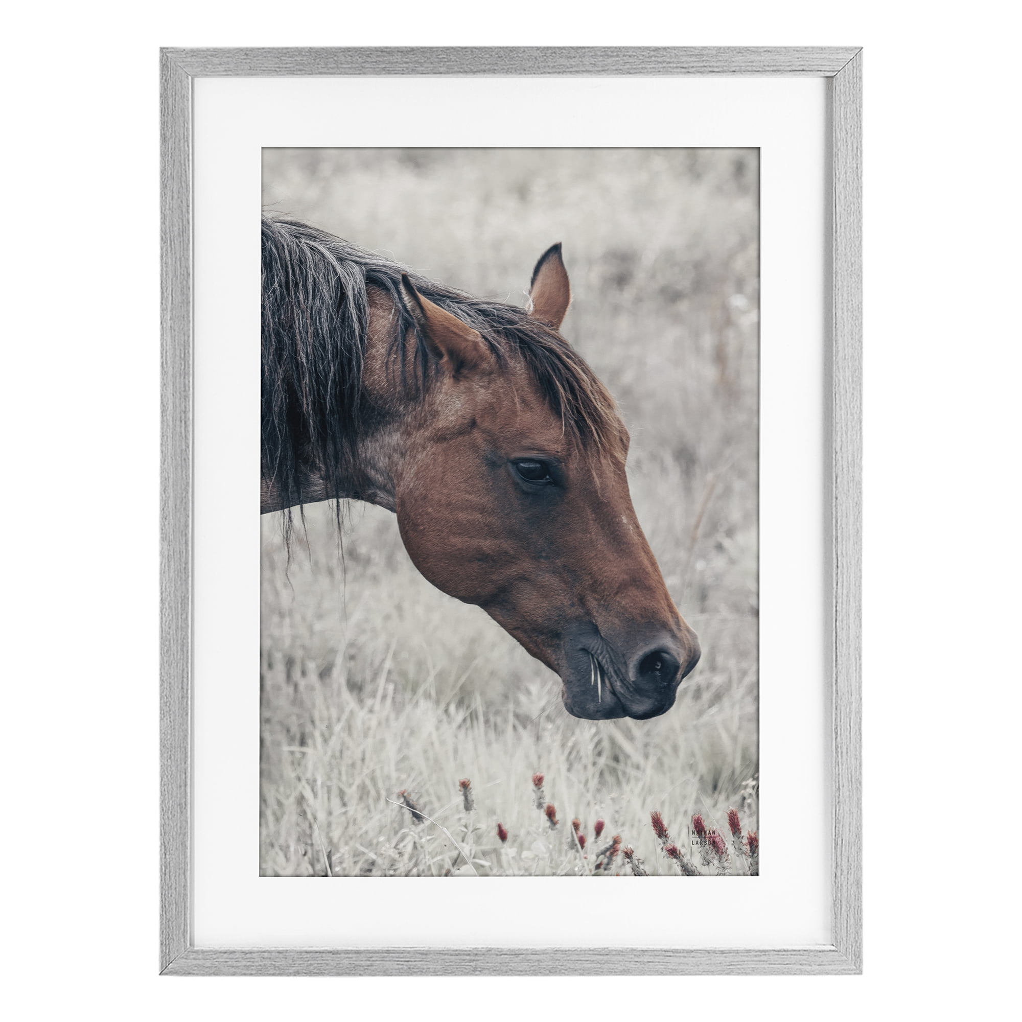 Stupell Industries Mother Horse Grazing in Meadow Gray Framed Print Under Glass, design by Nathan Larson