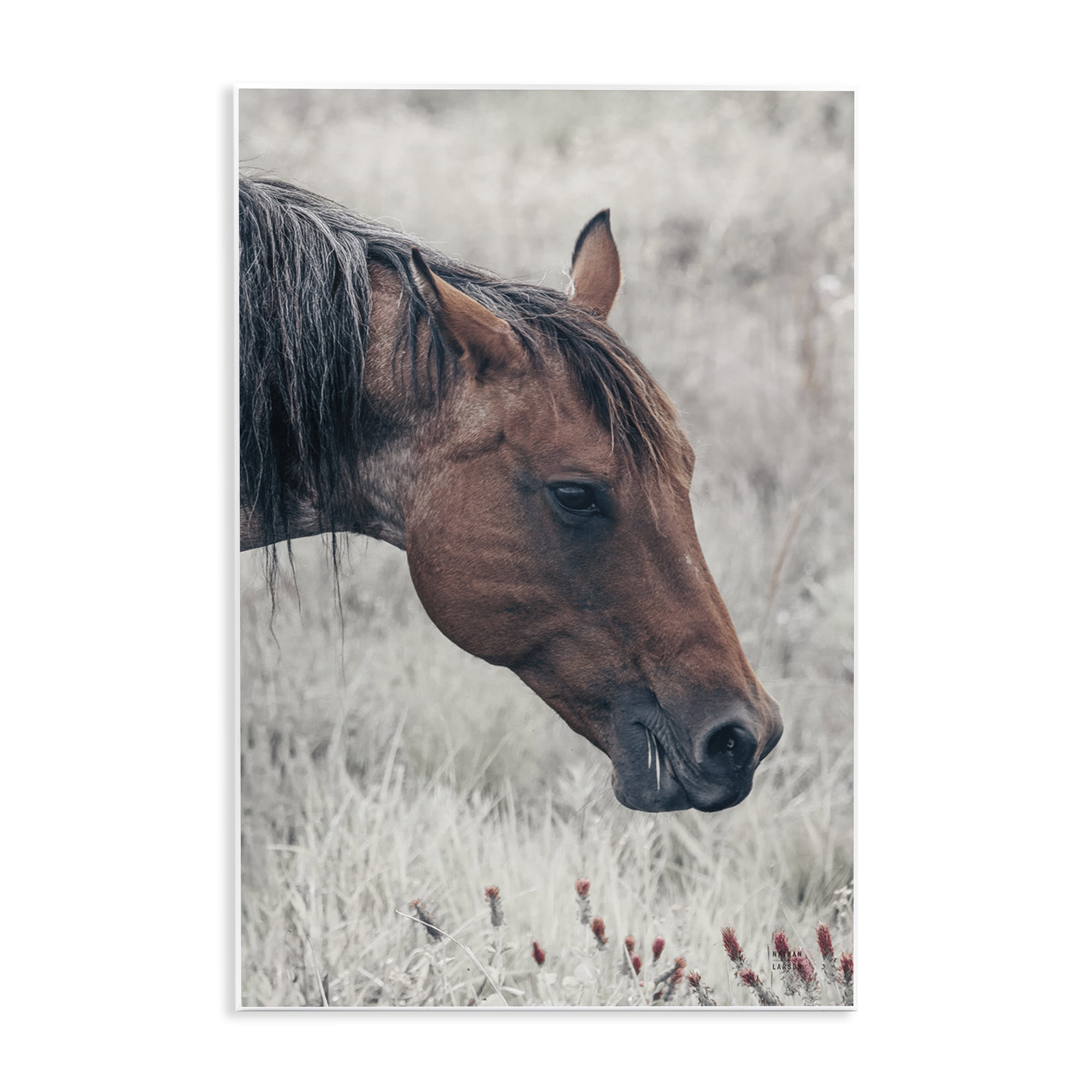 Stupell Industries Mother Horse Grazing in Meadow Wall Plaque Art, design by Nathan Larson