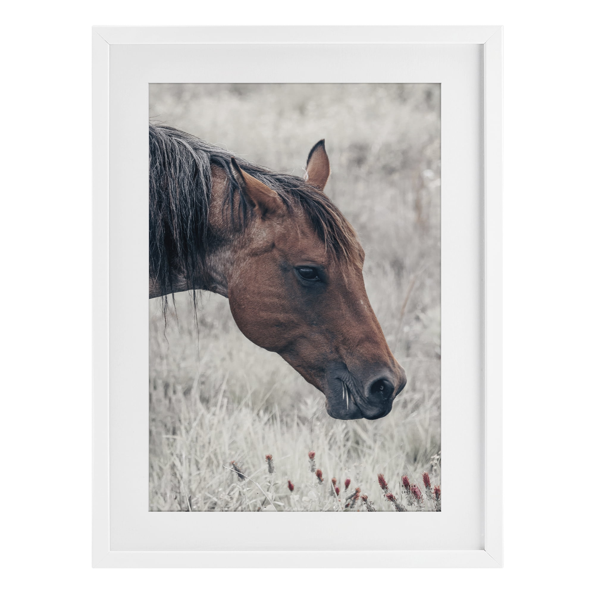 Stupell Industries Mother Horse Grazing in Meadow White Framed Print Under Glass, design by Nathan Larson