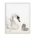 thumbnail image 1 of Stupell Industries Transitional Mother Swan & Cygnet White Framed Giclee Art, 24 x 30, by Sara Baker, 1 of 8