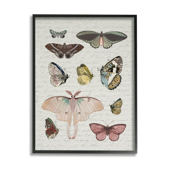 Stupell Industries Moths & Butterflies Vintage Animals & Insects Painting Black Framed Art Print Wall Art, 11 x 14