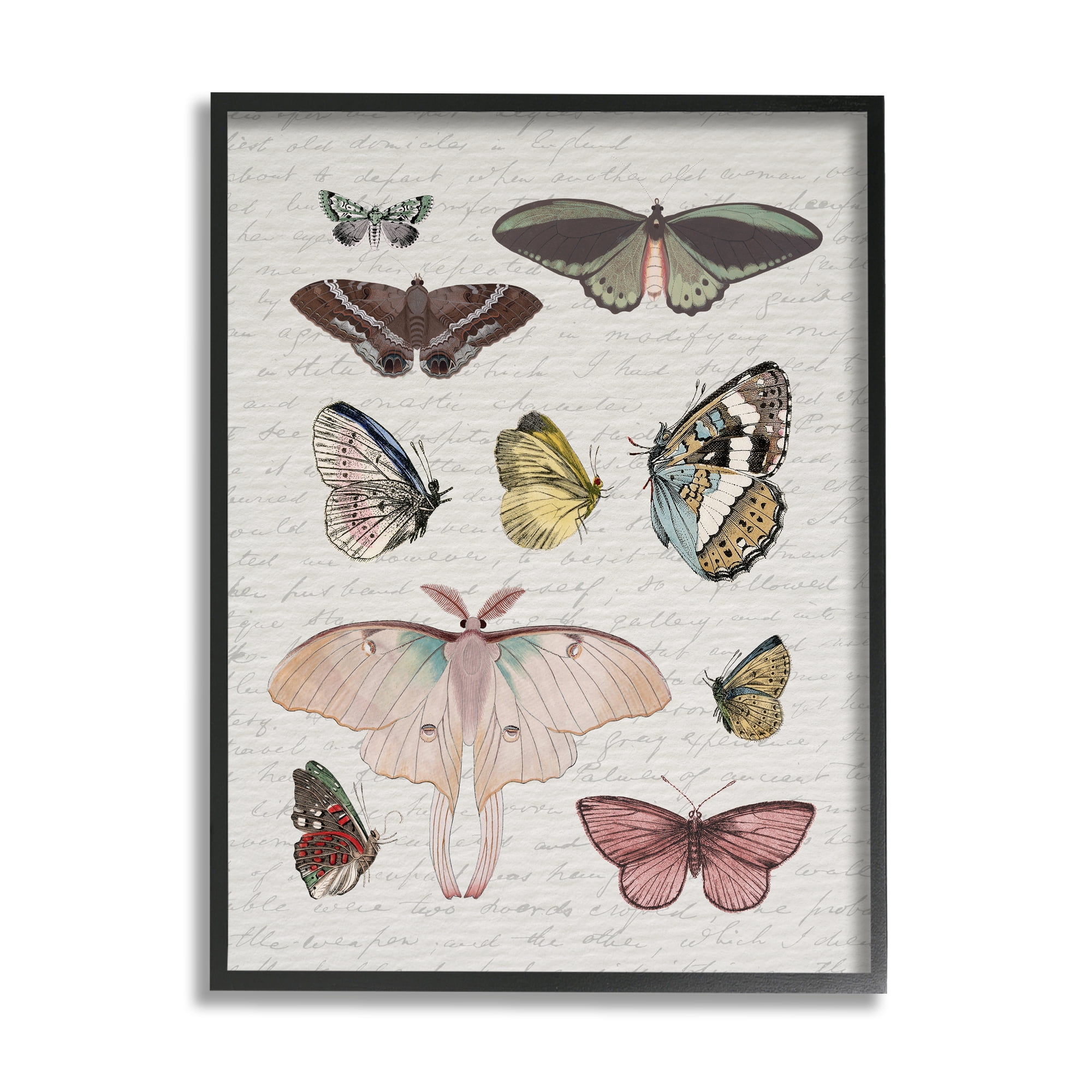 Stupell Industries Moths & Butterflies Vintage Animals & Insects Painting Black Framed Art Print Wall Art, 16 x 20