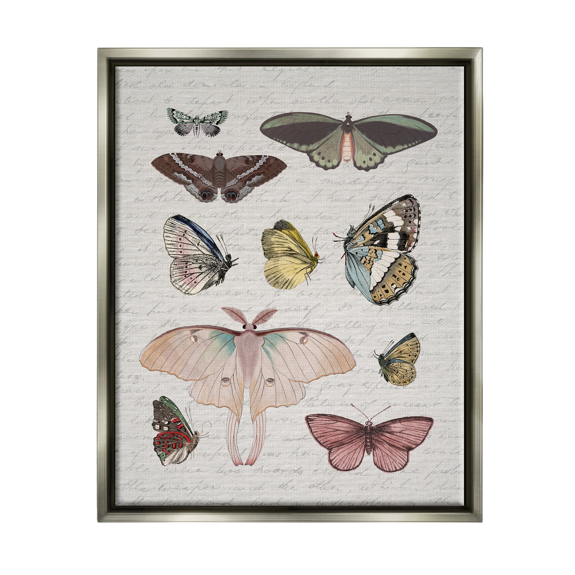 Stupell Industries Moths & Butterflies Vintage Animals & Insects Painting Gray Floater Framed Canvas Art Print Wall Art, 17 x 21