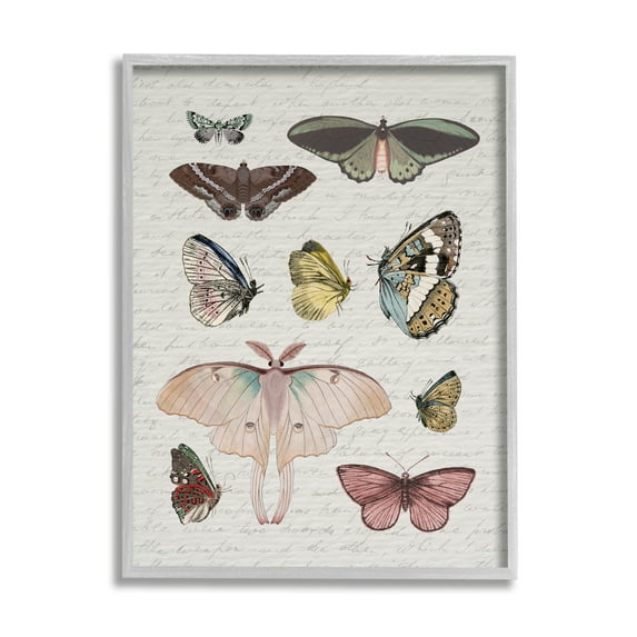 Stupell Industries Moths & Butterflies Vintage Animals & Insects Painting Gray Framed Art Print Wall Art, 16 x 20
