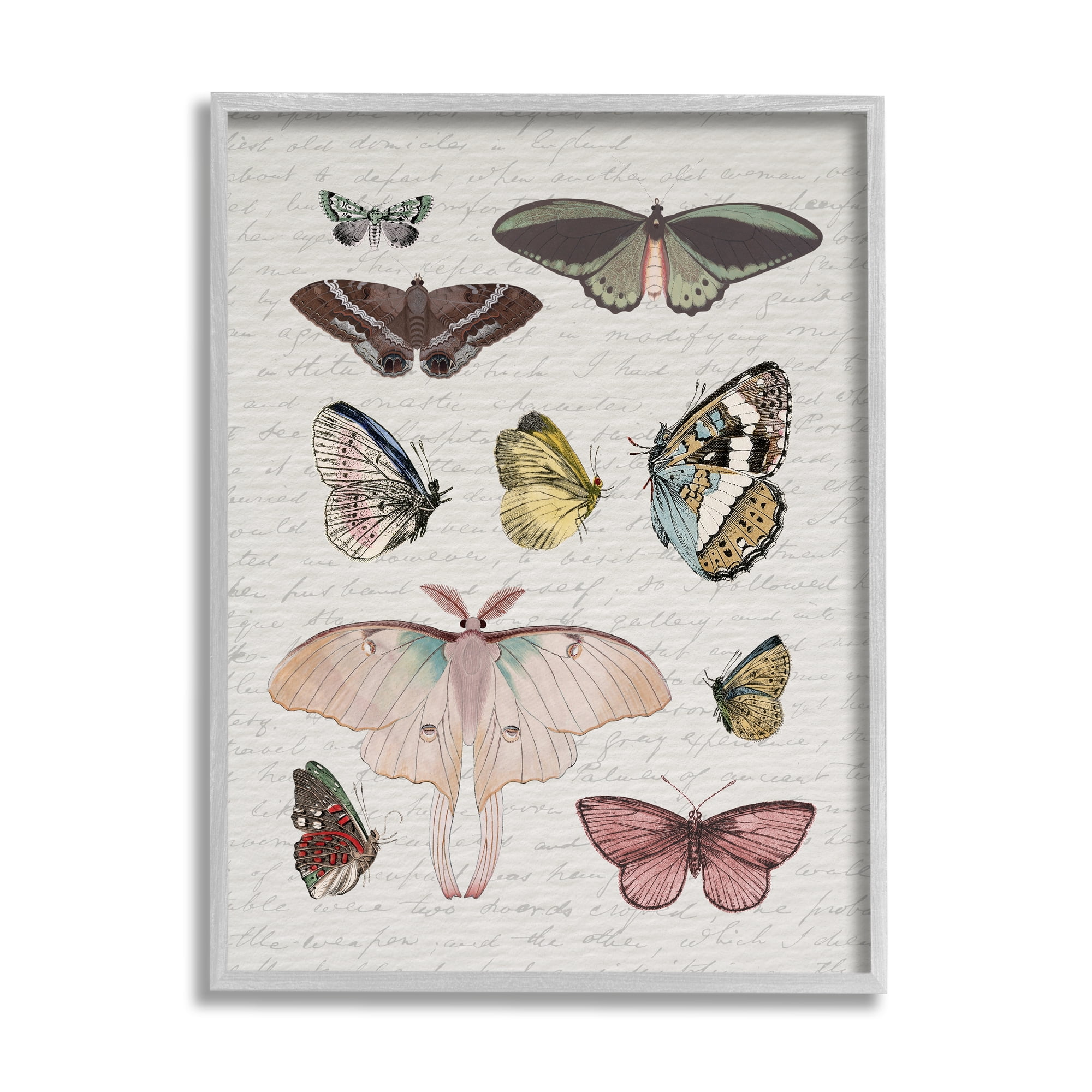 Stupell Industries Moths & Butterflies Vintage Animals & Insects Painting Gray Framed Art Print Wall Art, 24 x 30
