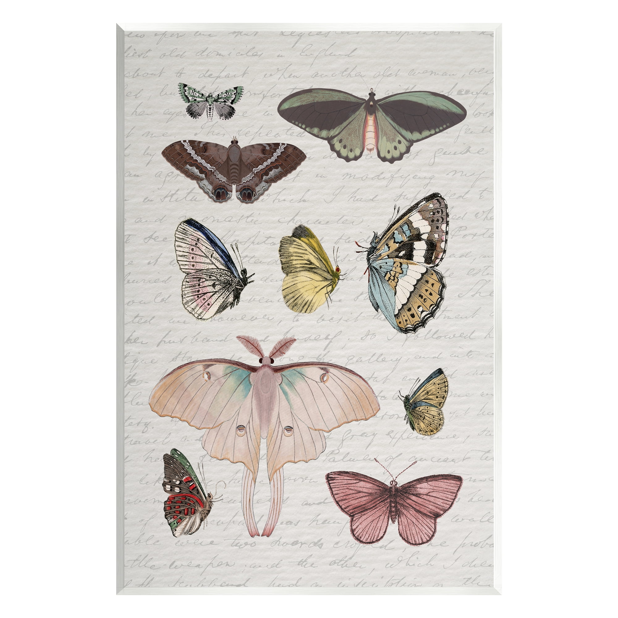 Stupell Industries Moths & Butterflies Vintage Animals & Insects Painting Unframed Art Print Wall Art, 13 x 19