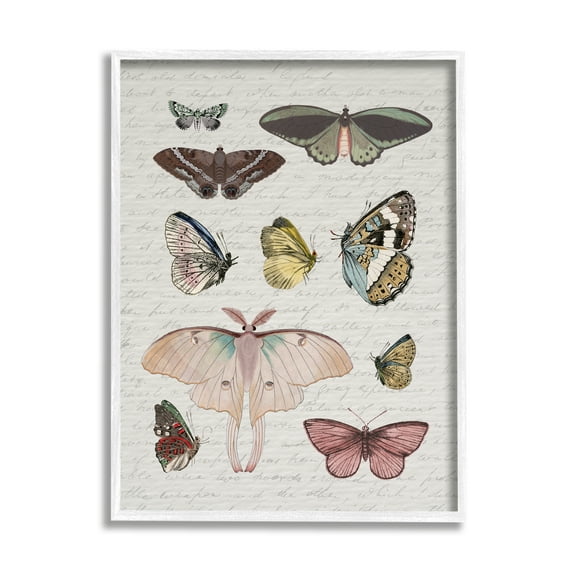 Stupell Industries Moths & Butterflies Vintage Animals & Insects Painting White Framed Art Print Wall Art, 16 x 20