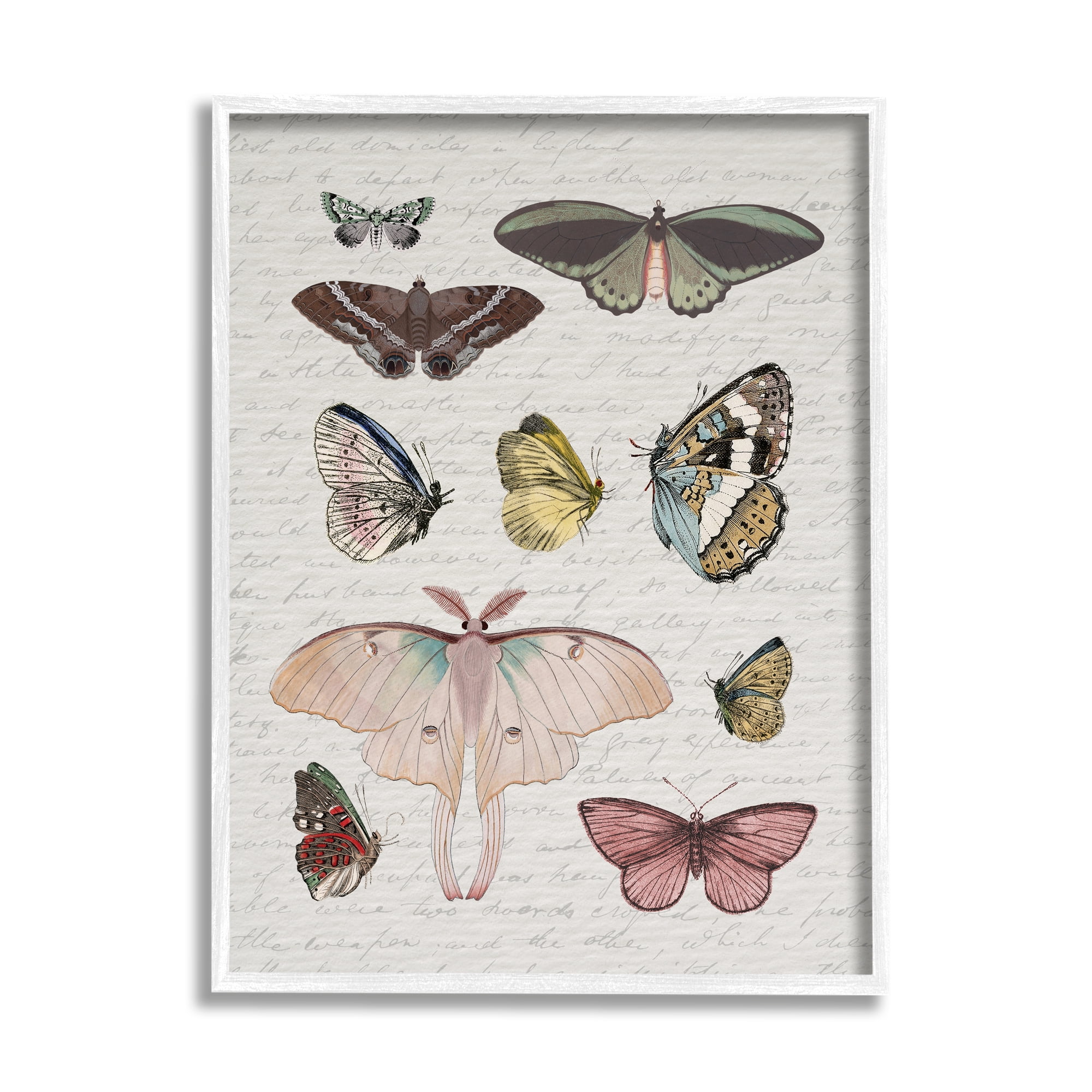Stupell Industries Moths & Butterflies Vintage Animals & Insects Painting White Framed Art Print Wall Art, 24 x 30