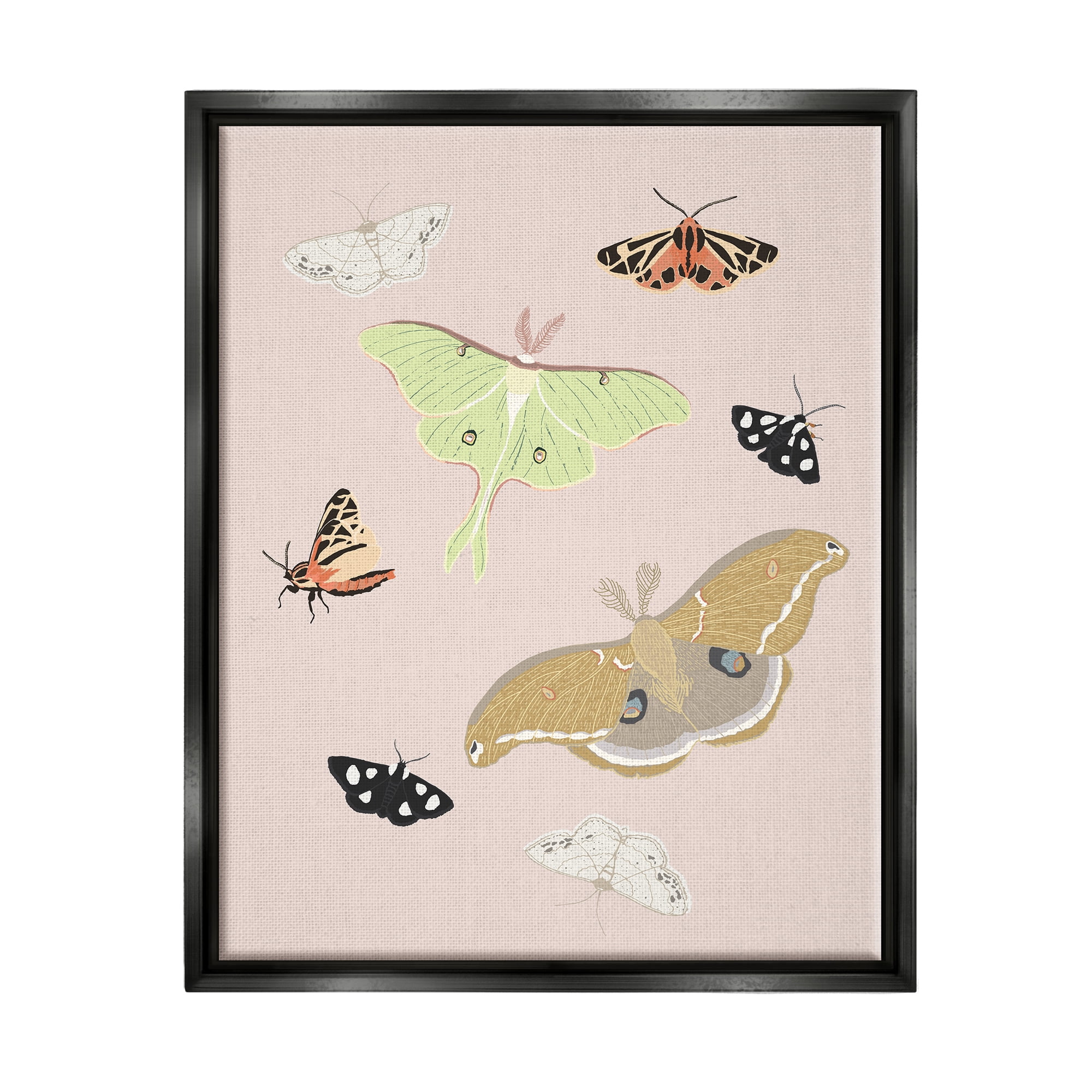 Stupell Industries Moths & Butterflies on Pink Animals & Insects Painting Black Floater Framed Art Print Wall Art, 25 x 31