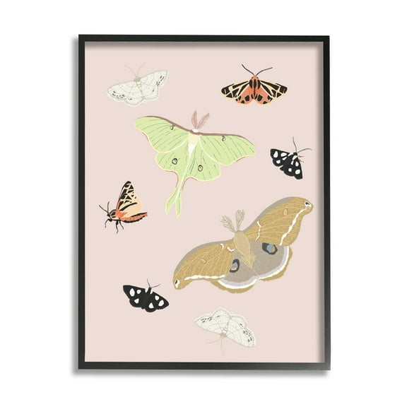 Stupell Industries Moths & Butterflies on Pink Animals & Insects Painting Black Framed Art Print Wall Art, 11 x 14