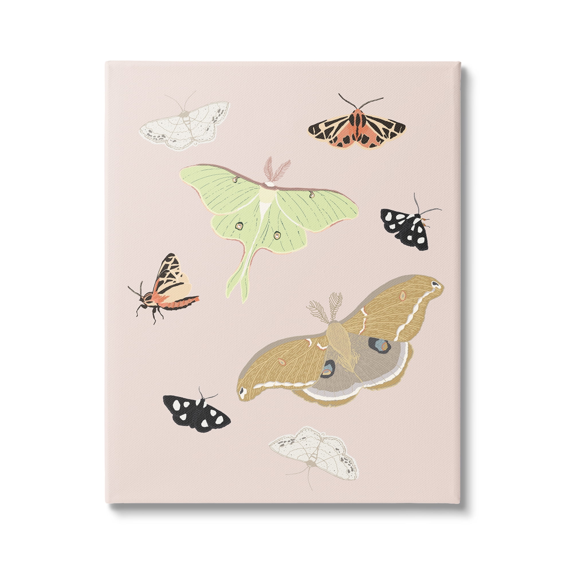 Stupell Industries Moths & Butterflies on Pink Animals & Insects Painting Gallery Wrapped Canvas Print Wall Art, 16 x 20