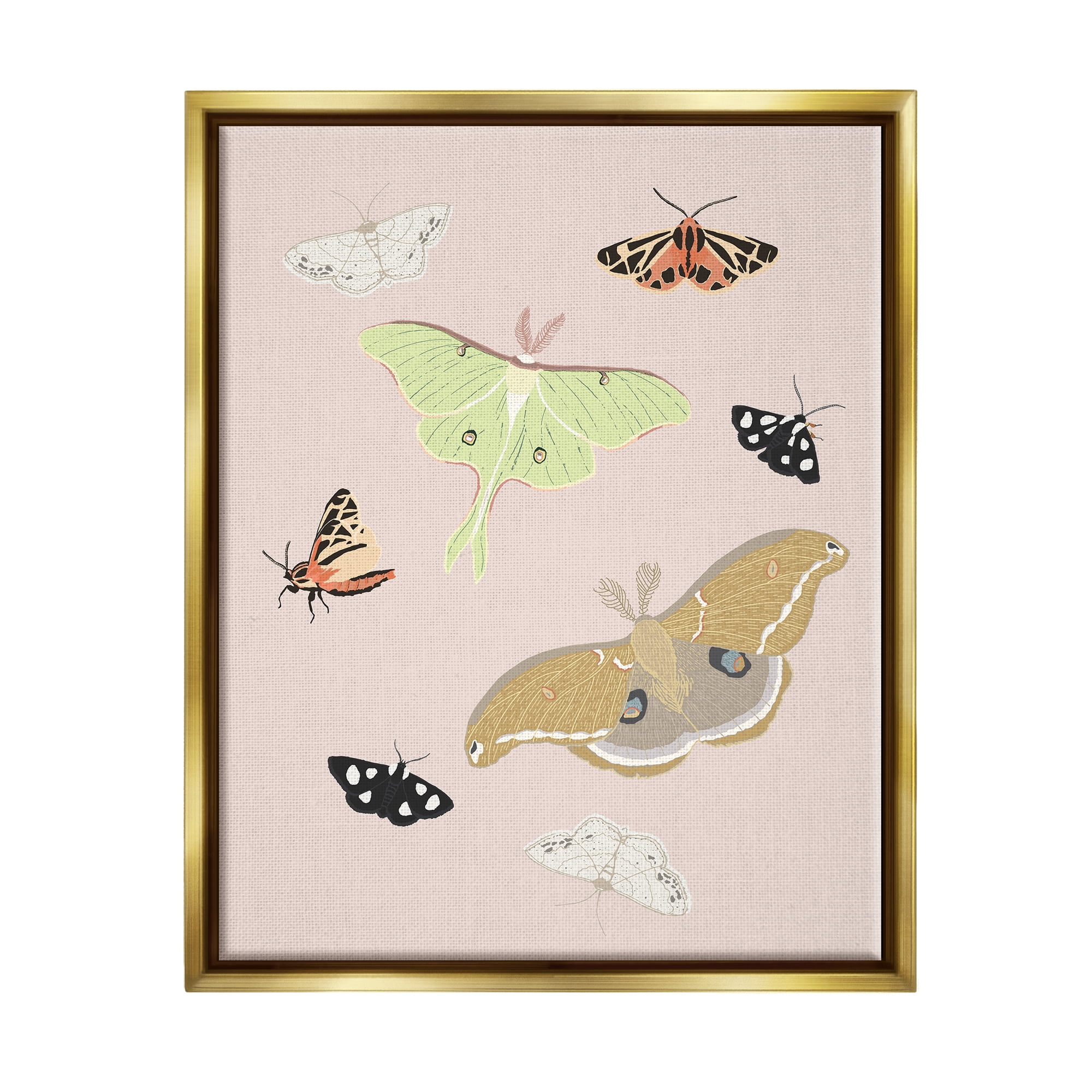 Stupell Industries Moths & Butterflies on Pink Animals & Insects Painting Gold Floater Framed Art Print Wall Art, 17 x 21