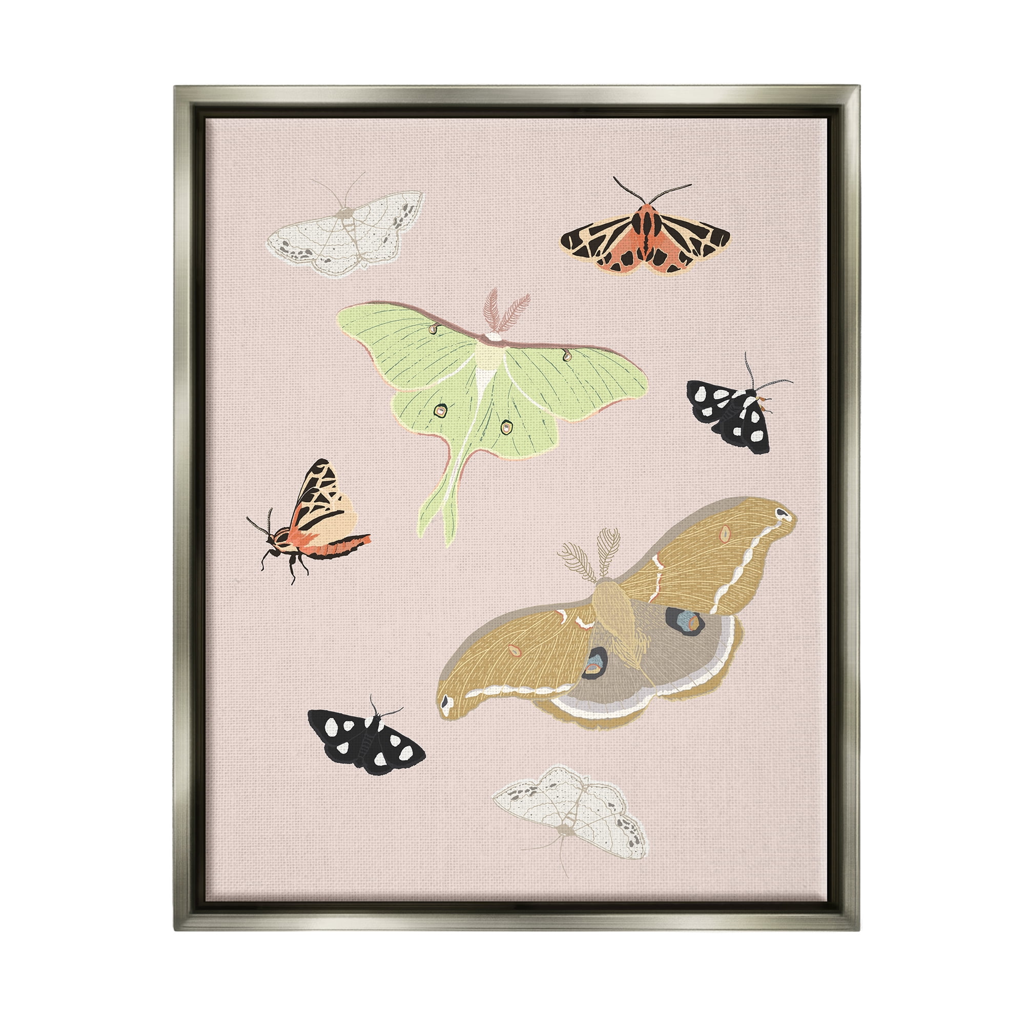Stupell Industries Moths & Butterflies on Pink Animals & Insects Painting Gray Floater Framed Art Print Wall Art, 25 x 31