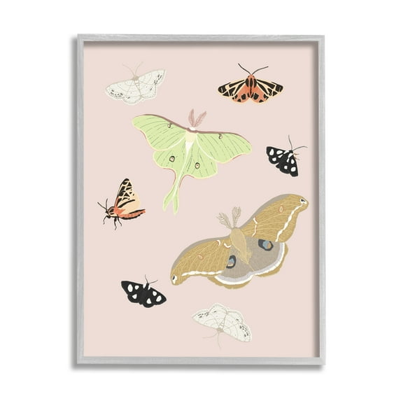 Stupell Industries Moths & Butterflies on Pink Animals & Insects Painting Gray Framed Art Print Wall Art, 11 x 14
